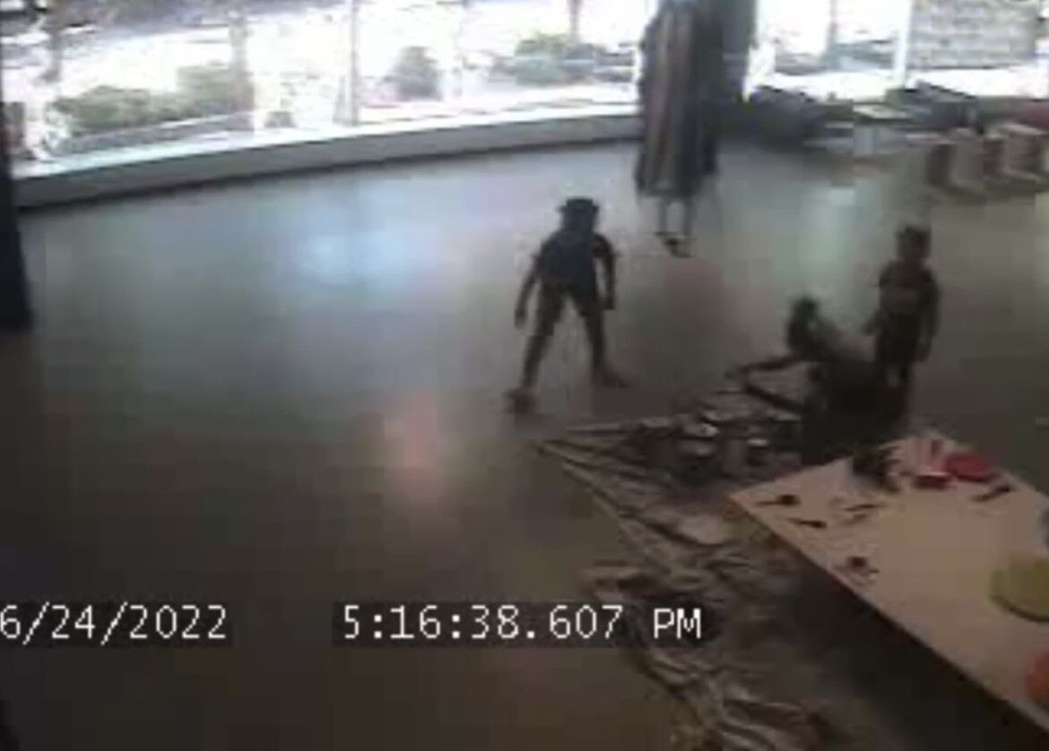 MMOCA vandals caught on camera